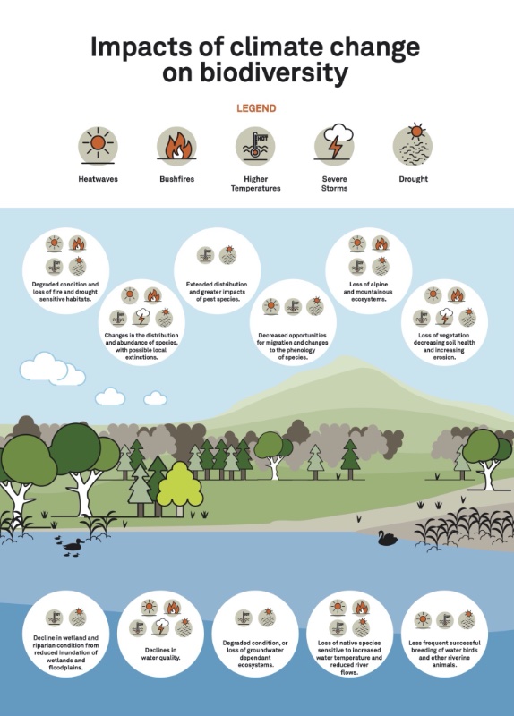 Infographic shows how climate change affects biodiversity