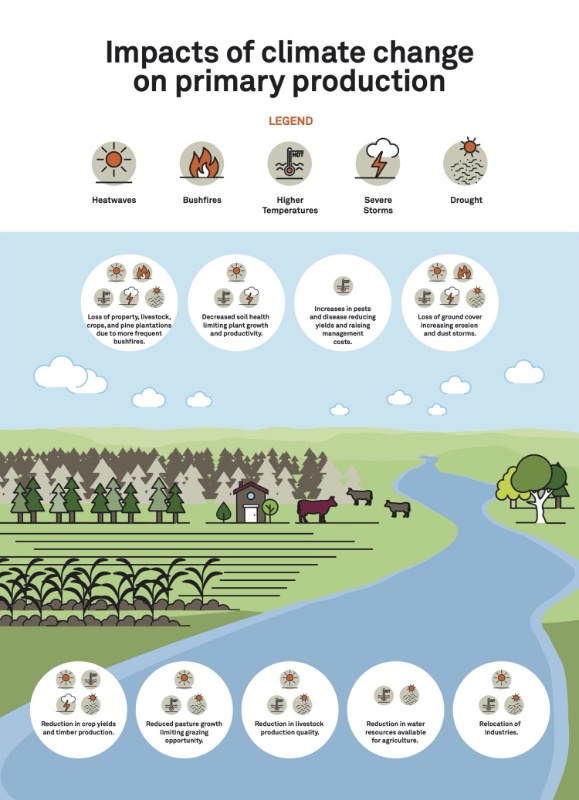 Infographic shows how climate change affects primary production